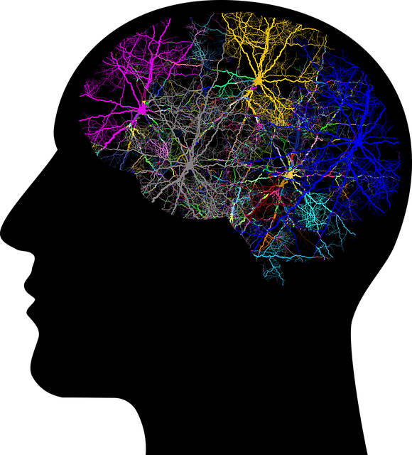 brain energy image